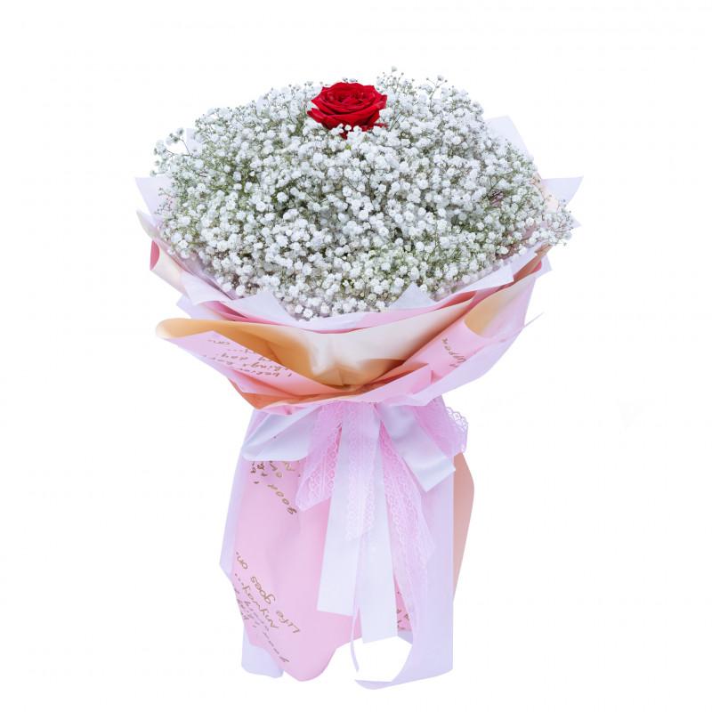 Các loại hoa tulip phổ biến và đặc điểm nhận biết của chúng với nhiều màu sắc rực rỡ